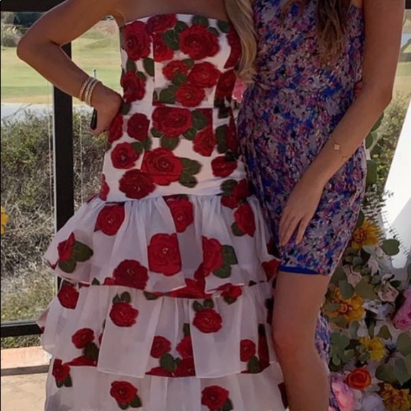 Bambah Roses Ruffle Dress - Picture 2 of 6